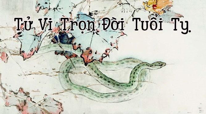 Tử vi trọn đời tuổi Tỵ