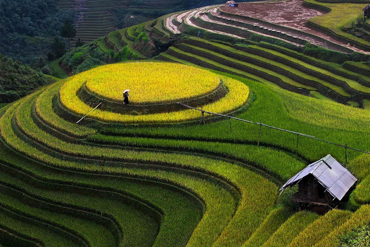 Summer in Tây Bắc