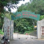 Kinh nghiệm du lịch rừng quốc gia Cúc Phương Tự túc