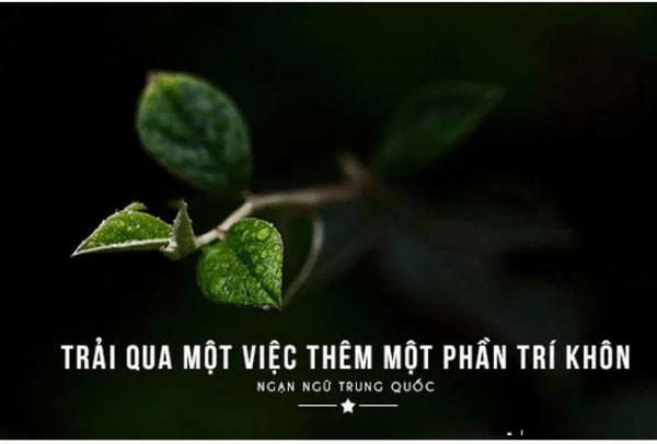 Công việc