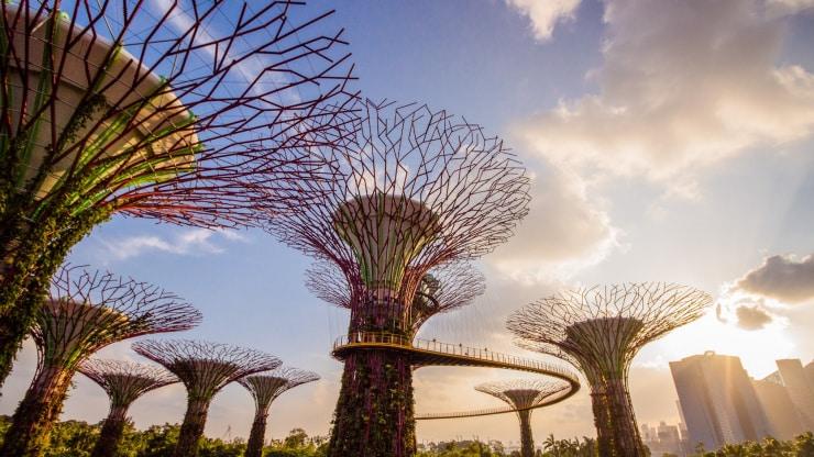 Khu vườn sinh thái Gardens by the Bay