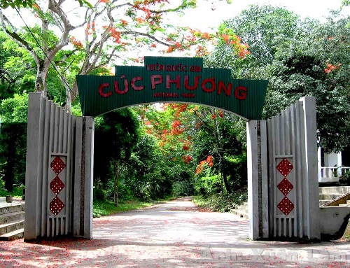 Cúc Phương – điểm đến lí tưởng cho những người yêu thích thiên nhiên