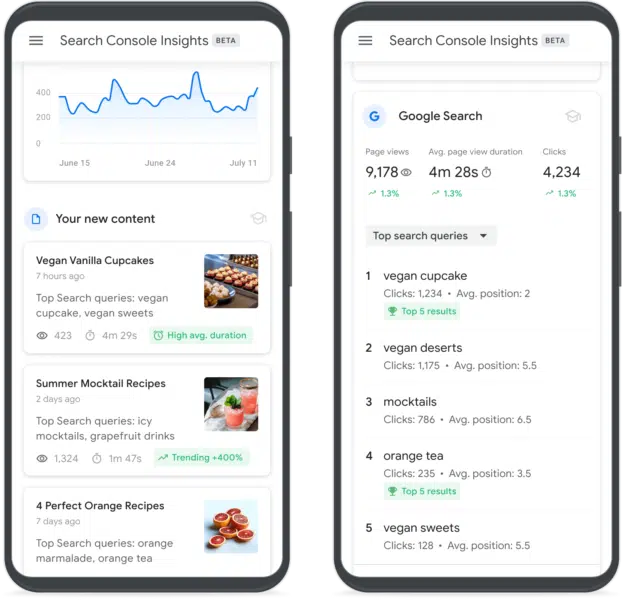 Search Console Information 1