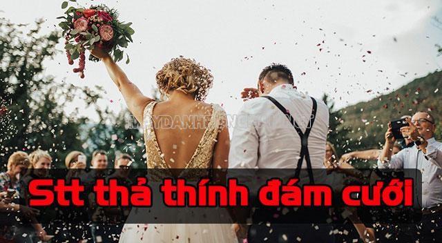 stt-tha-thinh-dam-cuoi