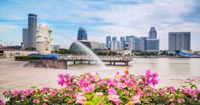 Top 10 địa điểm du lịch Singapore miễn phí hot nhất 2018