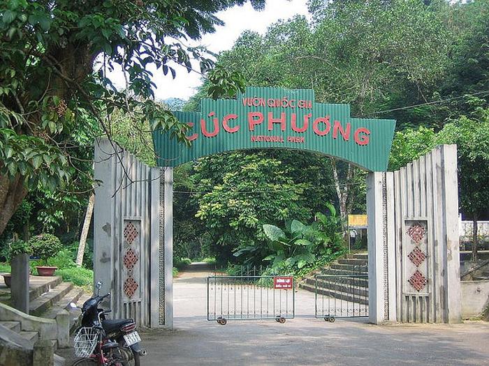 Kinh nghiệm du lịch rừng quốc gia Cúc Phương Tự túc