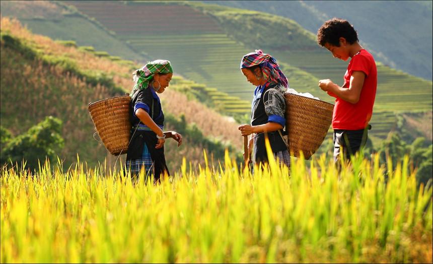 Lịch trình du lịch Tây Bắc 5 ngày đầy đủ, chi tiết nhất cho hội mê phượt