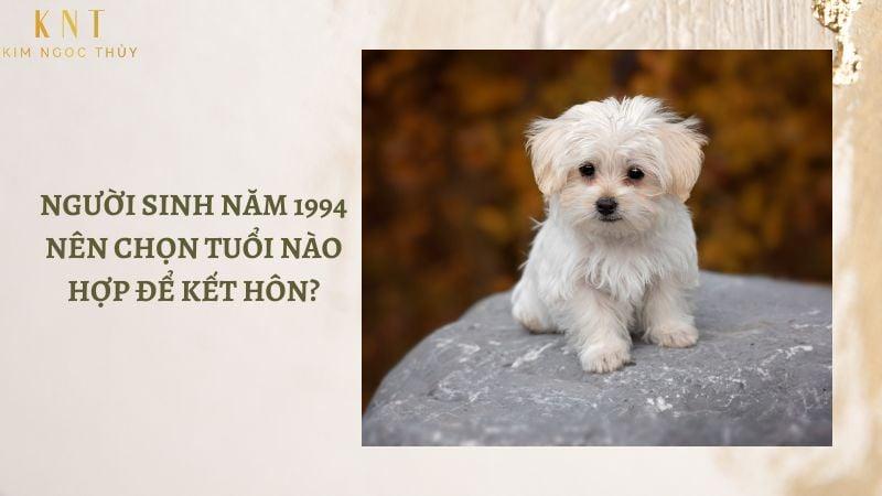 NGƯỜI SINH NĂM 1994 NÊN CHỌN TUỔI NÀO HỢP ĐỂ KẾT HÔN?