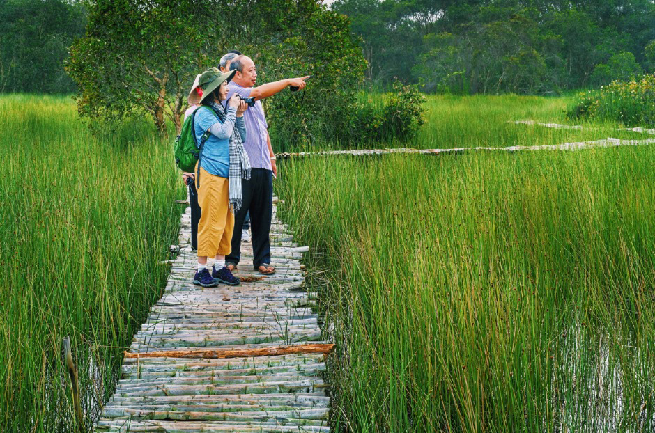 Cánh đồng bất tận 