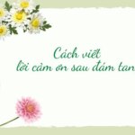 Cách viết và 15 mẫu lời cảm ơn sau đám tang hay và ý nghĩa nhất