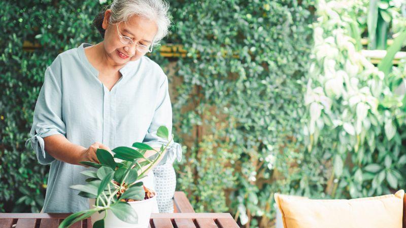 Lời chúc sinh nhật bác gái vui vẻ, ý nghĩa