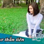 Lời bài hát Giấc mơ thần tiên