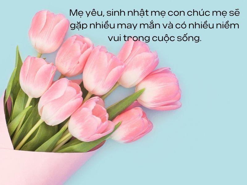 lời chúc mừng sinh nhật mẹ ngọt ngào - Món quà ý nghĩa nhân ngày kỷ niệm quan trọng