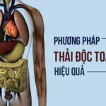 Bột Konjac: Công Dụng và Cách Sử Dụng